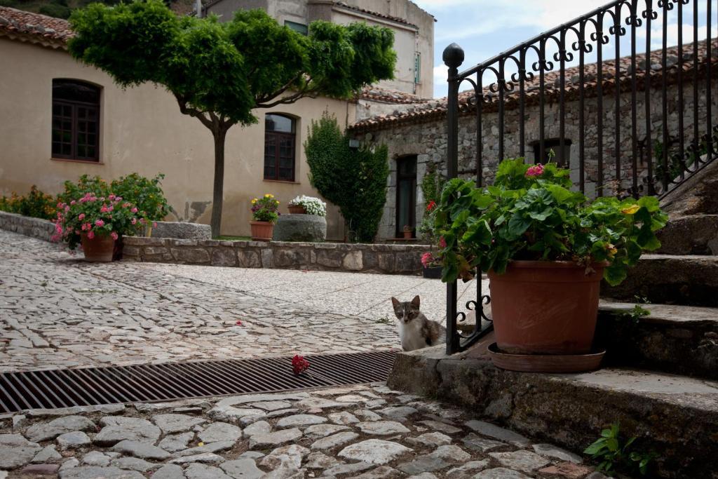 Villa Il Vecchio Frantoio Scillato  Exterior foto